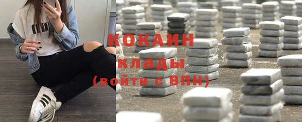 прущие грибы Лагань