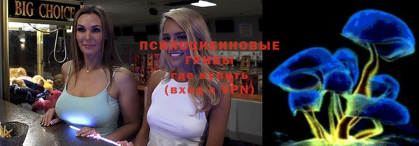 крисы Ладушкин