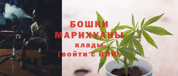 крисы Ладушкин