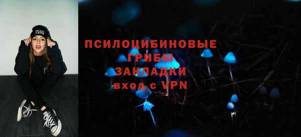 прущие грибы Лагань