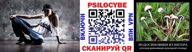 Купить закладки  Артём  Галлюциногенные грибы прущие грибы 